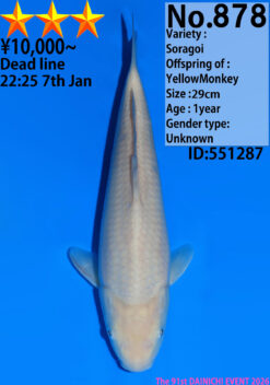 Alternative view of Soragoi Dainichi