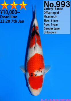 Alternative view of Sanke Dainichi